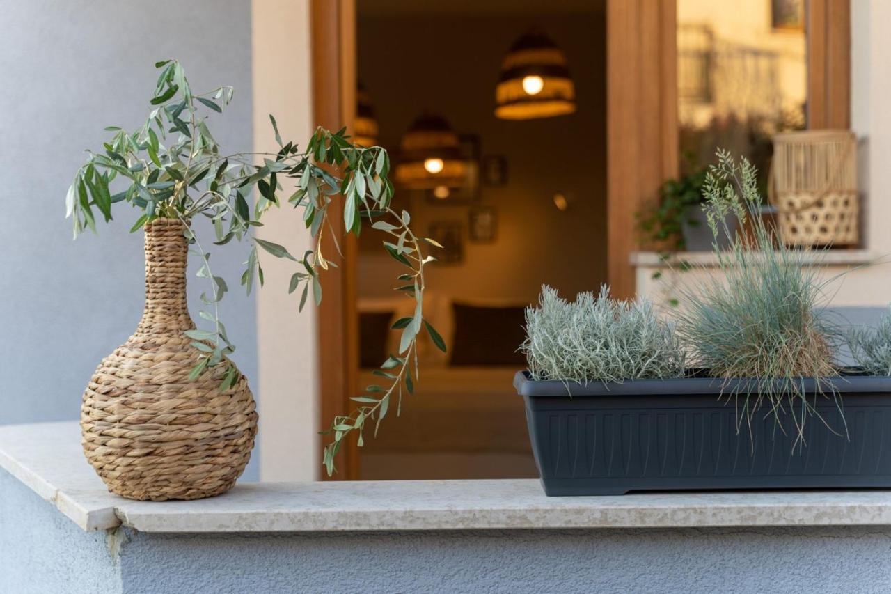 Apartments Alloro By Seeadria Agency Novigrad Istria Eksteriør bilde
