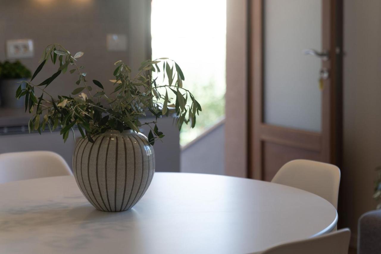 Apartments Alloro By Seeadria Agency Novigrad Istria Eksteriør bilde